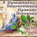 ���� ������� ���������, �������, 66 ��� - ��������� 7 ������ 2014 � ������ ������ ��������