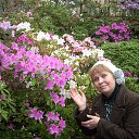 ���� ������, �����-���������, 64 ���� - ��������� 15 ������ 2014 � ������ ���������