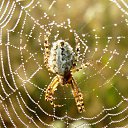 ���� �����, ������ �������� - ��������� 23 ����� 2014 � ������ �������� ������� ��������