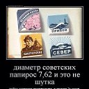 ���� ���, �����-���������, 59 ��� - ��������� 1 ���� 2014 � ������ ������ ��������