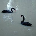 ���� ����������, ������� ��������, 63 ���� - ��������� 15 ���� 2014 � ������ �� ���� ���������