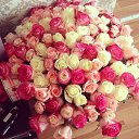 ���� �����, �����-��������� - ��������� 20 ����� 2014 � ������ ������ ��������