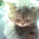 ...  ..    &quot;8 &quot;