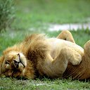 ���� ���������, ����� - ��������� 30 ���� 2014 � ������ ���� ����������