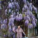 ���� ����, ���������, 71 ��� - ��������� 7 ��� 2014 � ������ ������ ��������