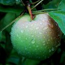 ���� 2014 �� ������� �����ܻ