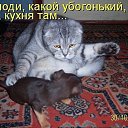 ���� ���� �-238, ������ - ��������� 12 ���� 2014 � ������ ������ ��������