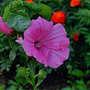 ���� ��������, ��������, 45 ��� - ��������� 16 ������� 2014 � ������ ������ ����