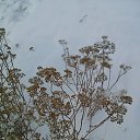 ���� ���������, ���������, 38 ��� - ��������� 25 ������ 2014 � ������ ����������