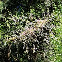 ���� �����, �����, 64 ���� - ��������� 4 ��� 2014 � ������ ������ � �����!�