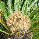 ������ ������ �� ������� ���������� ���������