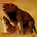 ���� ����, �����-��������� - ��������� 8 ���� 2014 � ������ ���� ����������