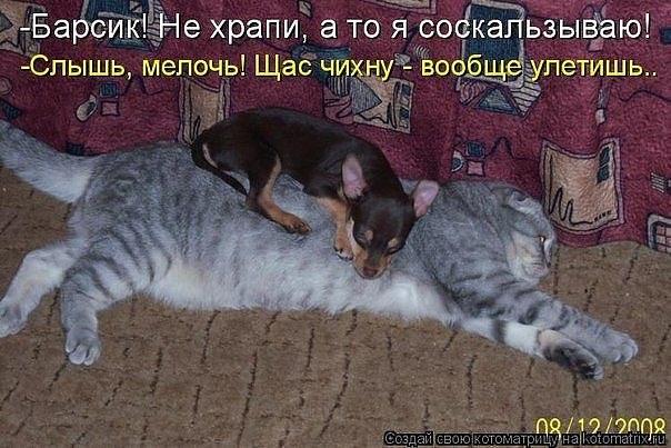    - 10  2014  20:10