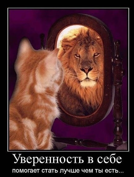 Самоуверенность орла цитата