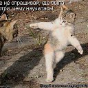 ���� ���������, �����-���������, 70 ��� - ��������� 2 ��� 2014 � ������ ������ ��������