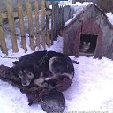  , , 71  -  31  2014     .