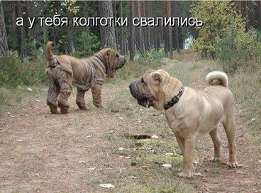 �������������� �� ���� �������� <a href=