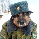 ���� ������, �������� - ��������� 13 ���� 2014 � ������ ���� ����������