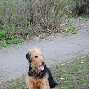 ���� ������, ������, 49 ��� - ��������� 21 ������ 2014 � ������ ������� �������