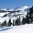 ���� �������, ���������, 61 ��� - ��������� 29 ����� 2014 � ������ ���� ����������