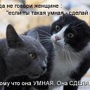 ���� �����, �����������, 43 ���� - ��������� 17 ������� 2014 � ������ ���� ����������
