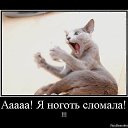 ���� �������, ������, 44 ���� - ��������� 23 ����� 2014 � ������ ���� ����� � �������������� ������-������