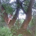 ���� ����, ������, 50 ��� - ��������� 14 ������� 2014 � ������ ���� ����������