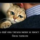 ���� �����, ������, 61 ��� - ��������� 4 ������� 2014 � ������ ������ ��������