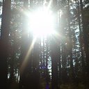 ���� ����, ������ - ��������� 16 ������� 2014 � ������ ���� ����������