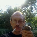 ���� ��������, ����������, 48 ��� - ��������� 28 ���� 2014 � ������ ���� ����������