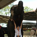 ���� �����, ������ - ��������� 17 ���� 2014 � ������ ���� ����������