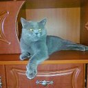 ���� ��������, �����������, 58 ��� - ��������� 12 ������� 2014 � ������ ���� ����������