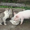 ���� �����, ������ - ��������� 6 ������ 2014 � ������ ������ ��������