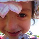 ���� �������, �������, 68 ��� - ��������� 8 ��� 2014 � ������ ���� ����������