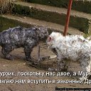 ���� �������� �, ������������, 59 ��� - ��������� 10 ������� 2014