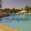 ���� �������, ������, 43 ���� - ��������� 23 ���� 2014 � ������ �������