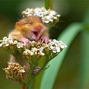 ���� ��������, ������ ��������, 37 ��� - ��������� 2 ���� 2014 � ������ ������ ��������