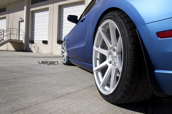 Matte Blue Ford Mustang 5.0 - 8