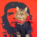 ���� ����, �������, 63 ���� - ��������� 25 ���� 2014 � ������ ������ ��������