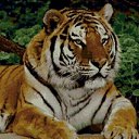 ���� ����, �����-��������� - ��������� 10 ���� 2014 � ������ ������ ��������