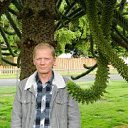  Vladimur,  -  15  2014