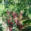 ���� ������, ����� - ��������� 1 ������� 2014 � ������ ���� ����������