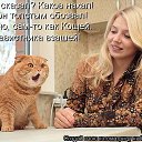 ���� �������, �����������, 38 ��� - ��������� 16 ��� 2014 � ������ ������ ��������