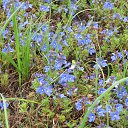 ���� �������, ������ - ��������� 29 ���� 2014 � ������ ��������.�