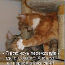 ���� ������, �������� - ��������� 22 ���� 2014 � ������ ������ ��������