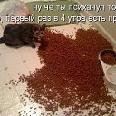 ���� ����, ������ - ��������� 10 ��� 2014 � ������ �))))�