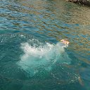 ���� ����, �����������, 71 ��� - ��������� 20 ������� 2014 � ������ �������