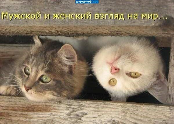������� - 10 ���� 2014 � 20:59