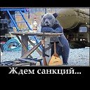 ���� �������, �������, 47 ��� - ��������� 14 ��� 2014