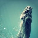 ���� ������, ������, 32 ���� - ��������� 15 ������ 2014 � ������ ������ ��������